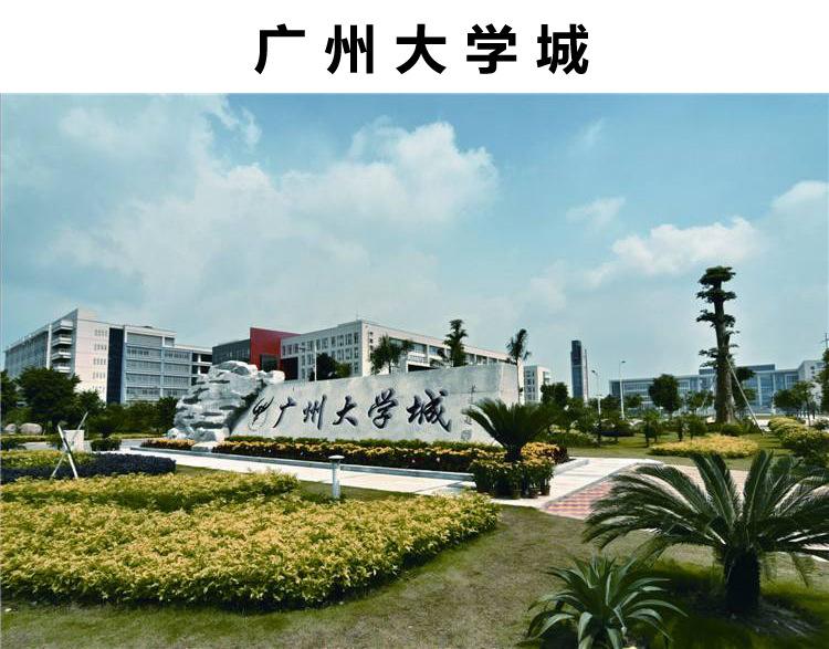 大学车驾校